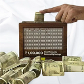 Vaultizio™ Premium Wooden Money Bank