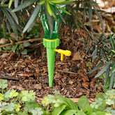 Self-Watering Spikes for Plants (Pack of 5)